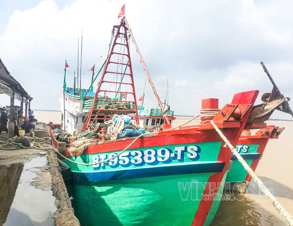 Tỉnh tăng cường quản lý đội tàu, giám sát hành trình để ngăn ngừa vi phạm khai thác IUU.