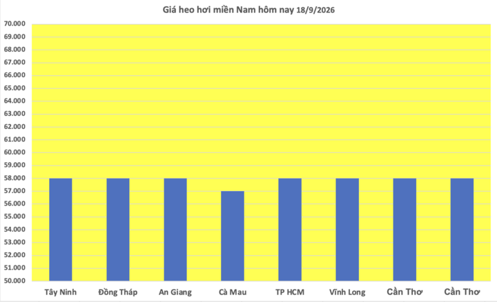 Giá heo hơi hôm nay 18/9/2026: Tăng 1.000 đồng/kg tại 2 địa phương - 3