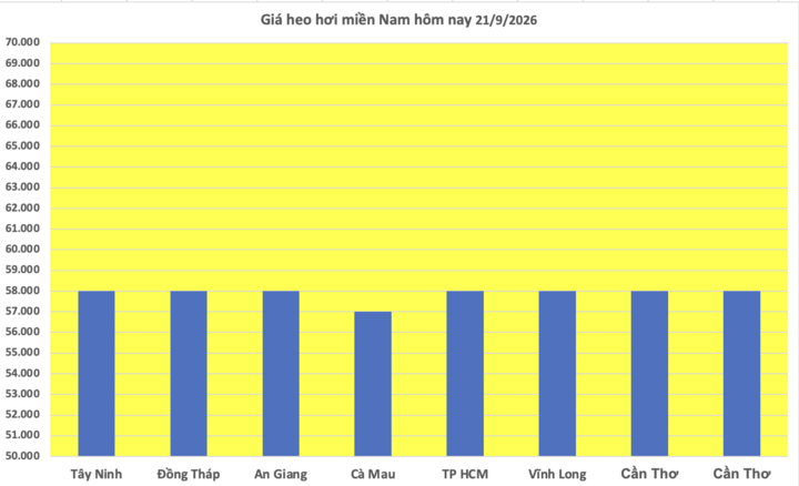 Giá heo hơi hôm nay 21/9/2026: Dao động từ 57.000 - 60.000 đồng/kg - 3