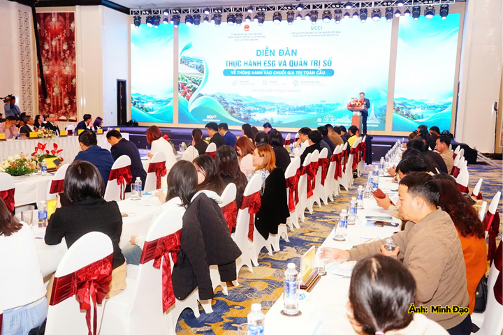 Quang cảnh diễn đàn.