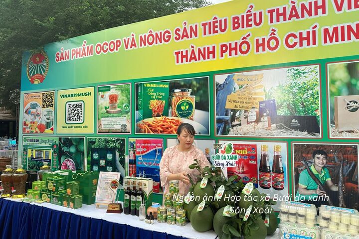 Sản phẩm của Hợp tác xã Bưởi da xanh Sông Xoài (TP. Hồ Chí Minh) tham dự chương trình xúc tiến thương mại.