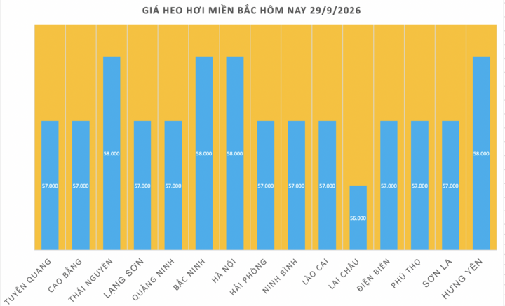 Giá heo hơi hôm nay 29/9/2026: Giảm diện rộng - 1