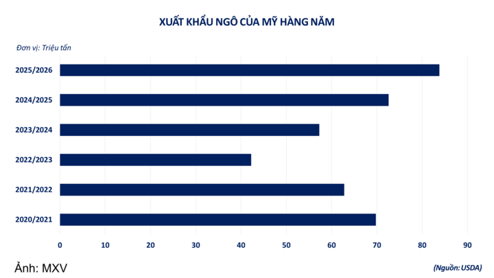 Xuất khẩu ngô Mỹ hằng năm.