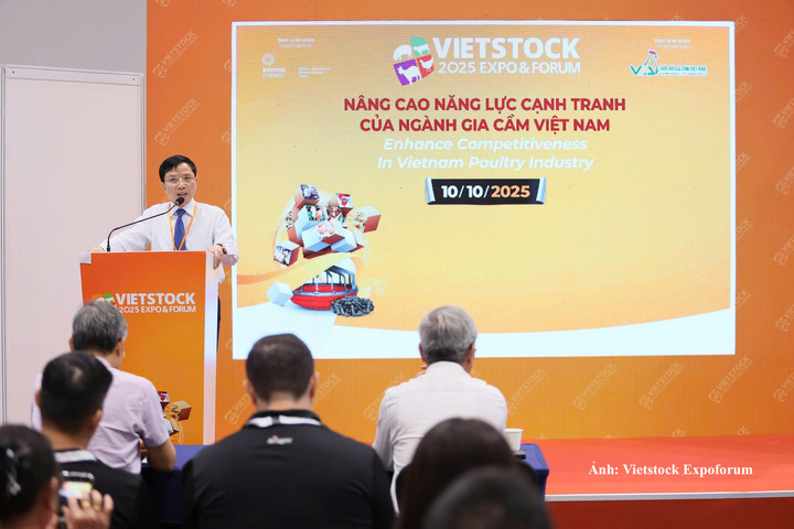 Chuỗi hội nghị tại Vietstock 2026 sẽ  tập trung vào chủ đề chăn nuôi bền vững.