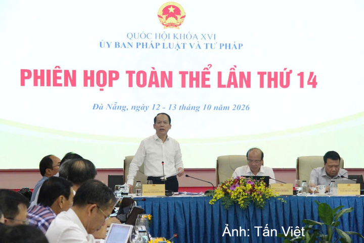 Bộ trưởng Bộ Tư pháp Hoàng Thanh Tùng phát biểu tại phiên họp.