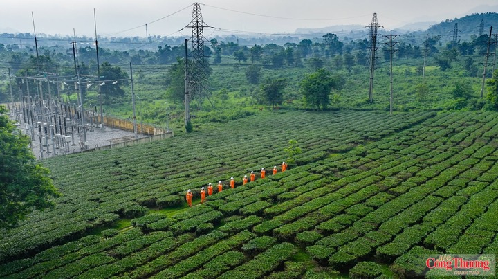 Dòng điện vươn xa, thắp sáng những khát vọng phát triển.