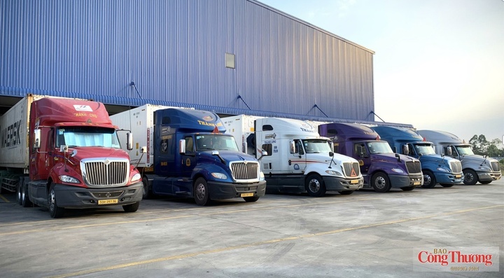 Tỉnh An Giang định hướng phát triển hệ thống kho lạnh, sơ chế, bảo quản và dịch vụ logistics gắn với các vùng sản xuất tập trung.