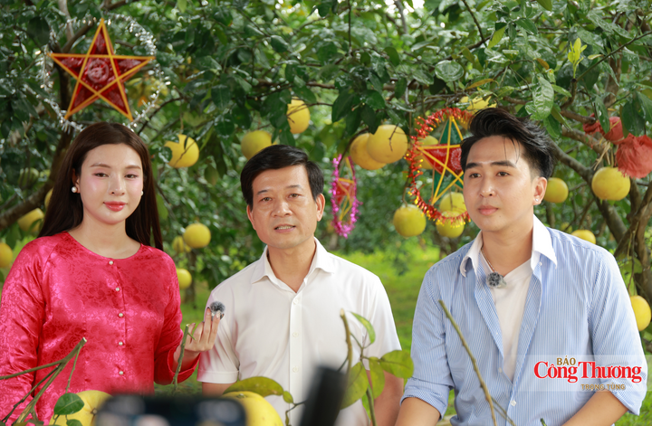 Hà Tĩnh chú trọng đến việc xây dựng thương hiệu và mở rộng thị trường tiêu thụ sản phẩm trên các sàn thương mại điện tử.