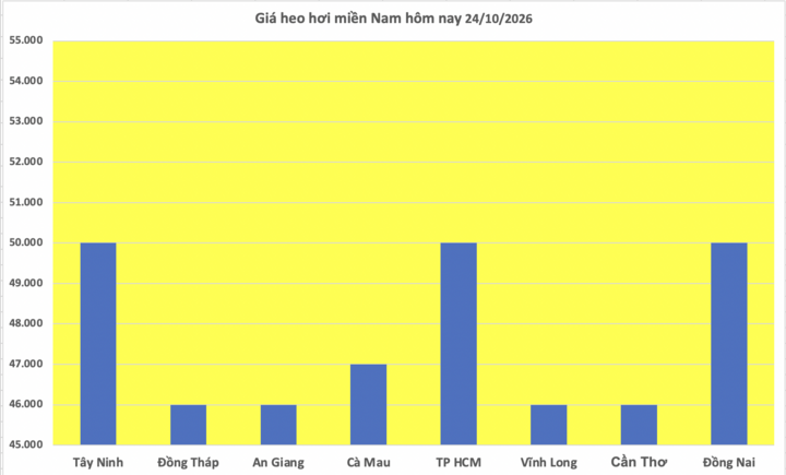 Giá heo hơi hôm nay 24/10/2026: Giảm mạnh, xuất hiện đáy mới - 3