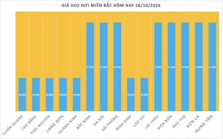 Giá heo hơi hôm nay 26/10/2026: Giảm rải rác tại miền Bắc - 1