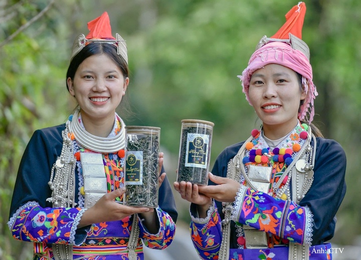 Sản phẩm chè cổ thụ của Lai Châu sẽ được trưng bày, quảng bá tại Hội chợ thương mại quốc tế Lai Châu năm 2026.